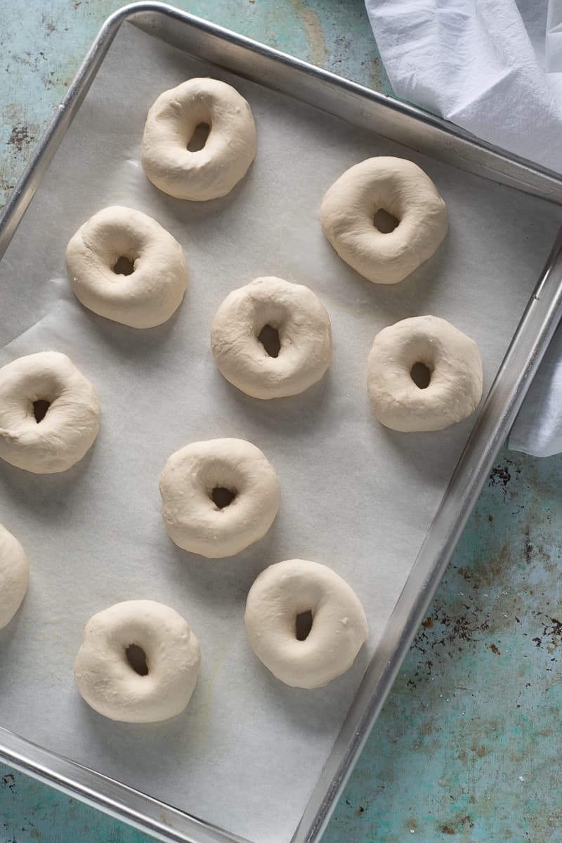 Bagels before being boiled