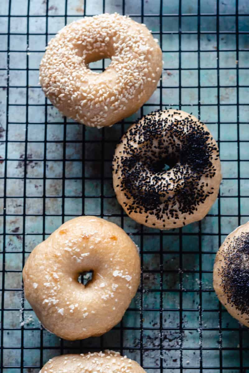 Overhead shot of bagels on a cooling rack