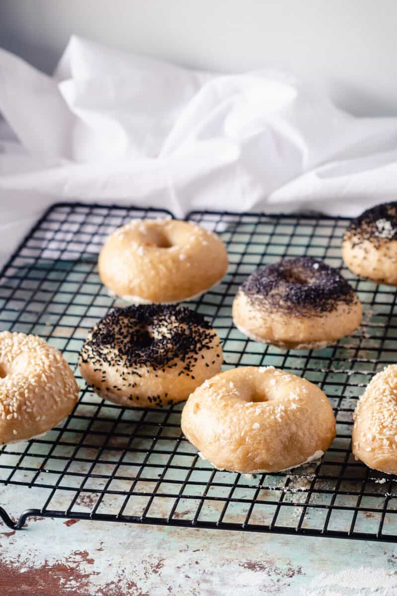 Bagels on a cooling rack