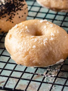 Close up of a salt bagel on a cooling rack