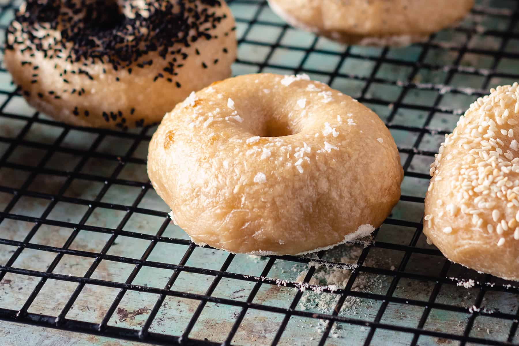 a good bagel is hard to find Blossom to Stem