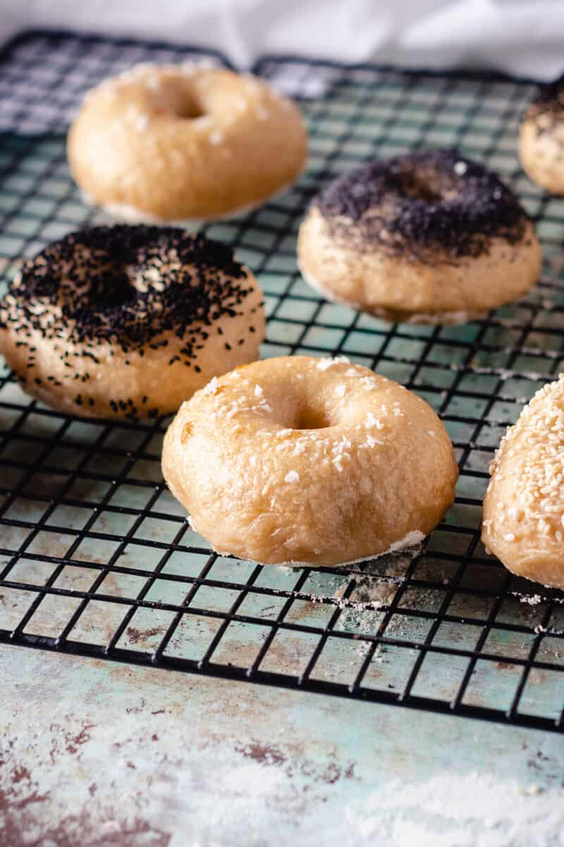 Bagels on a cooling rack