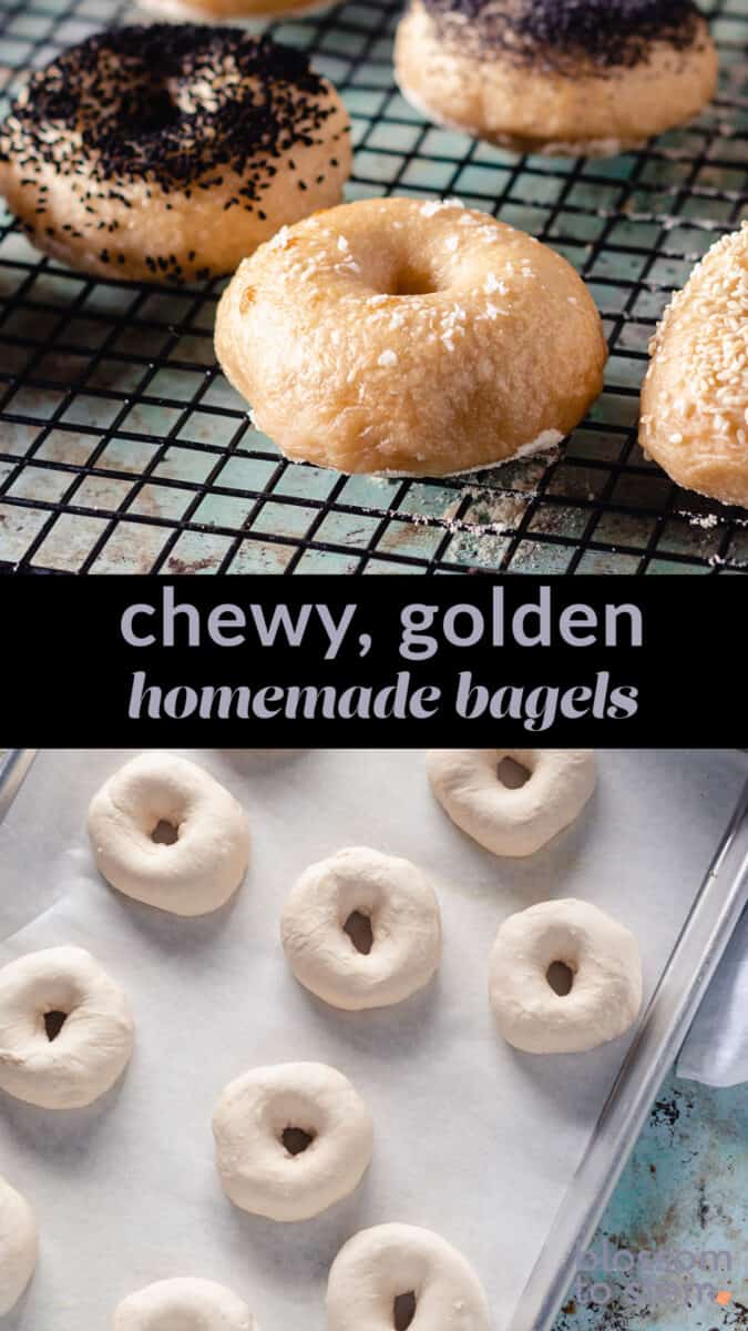 Chewy, golden homemade bagels