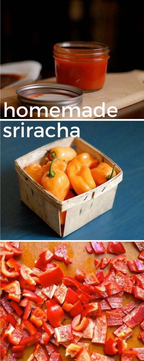 Homemade Sriracha. From Blossom to Stem | www.blossomtostem.net