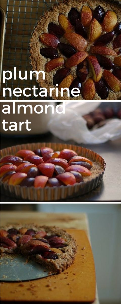 Plum Nectarine Almond Tart. From Blossom to Stem | www.blossomtostem.net