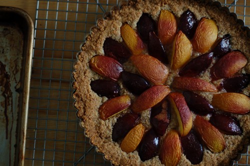 Plum Nectarine Almond Tart