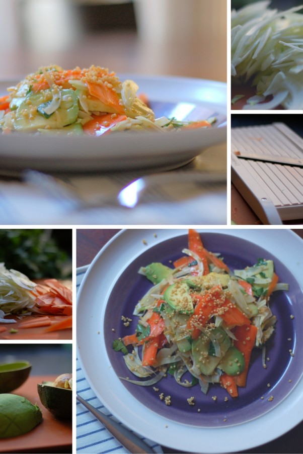 Shaved Fennel, Carrot, and Avocado Salad with Lime Sesame Soy Vinaigrette and Crispy Quinoa. Light, lovely, and delicious. From Blossom To Stem | Because Delicious | www.blossomtostem.net