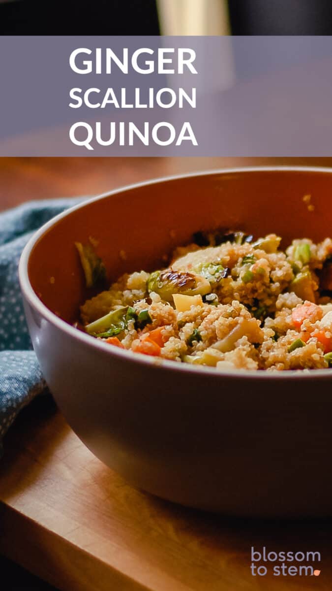 Ginger Scallion Quinoa