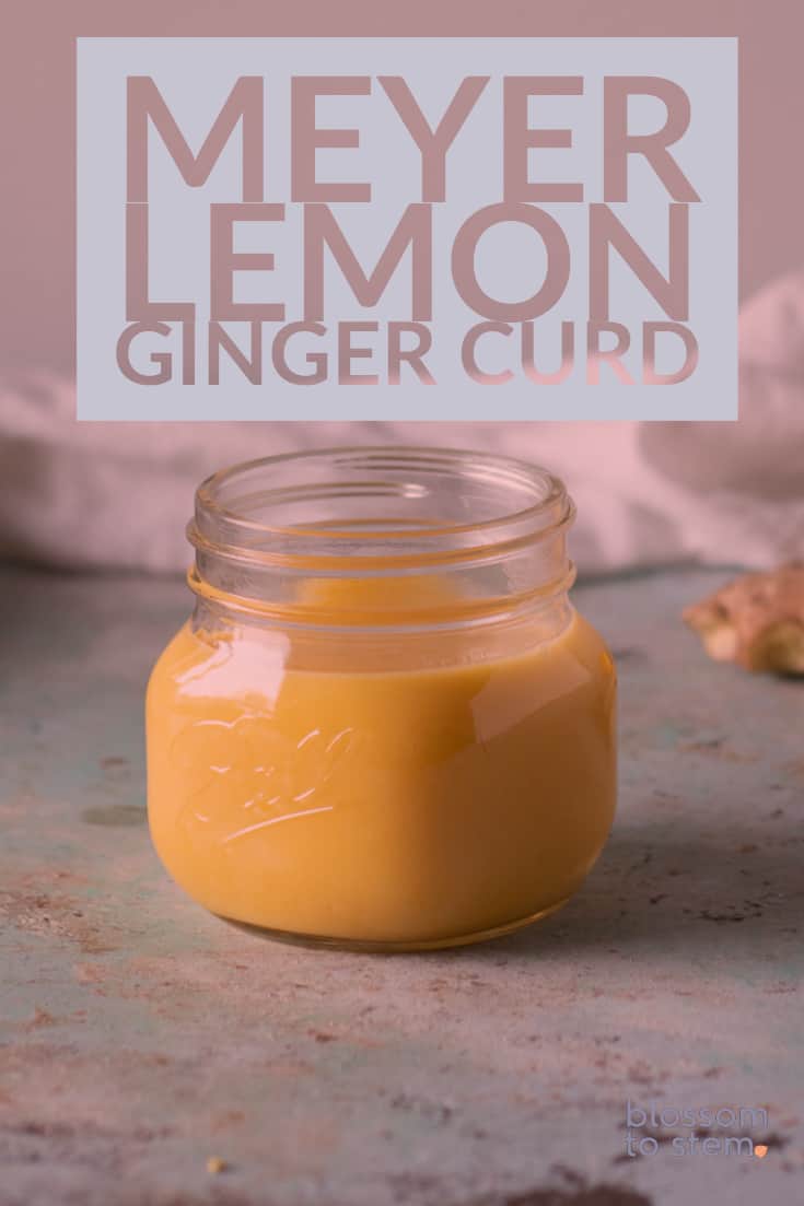 Meyer lemon ginger curd