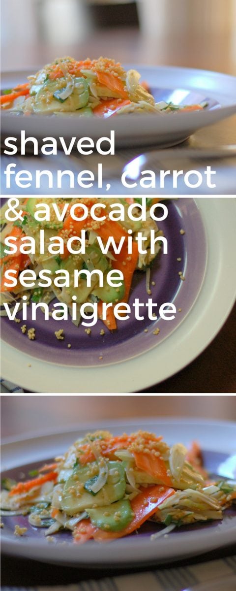 Shaved Fennel, Carrot & Avocado Salad with Sesame Vinaigrette. From Blossom to Stem | www.blossomtostem.net