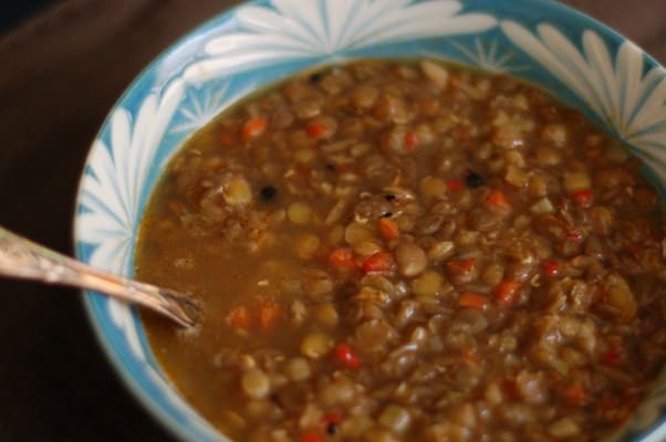 Lentil Sweet Red Pepper Soup with Cumin and Black Pepper. Not flashy, but delicious. From Blossom To Stem | Because Delicious www.blossomtostem.net