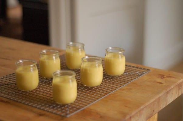 Passion Fruit Caramel Pots de Creme. So so so good. From Blossom To Stem | Because Delicious www.blossomtostem.net