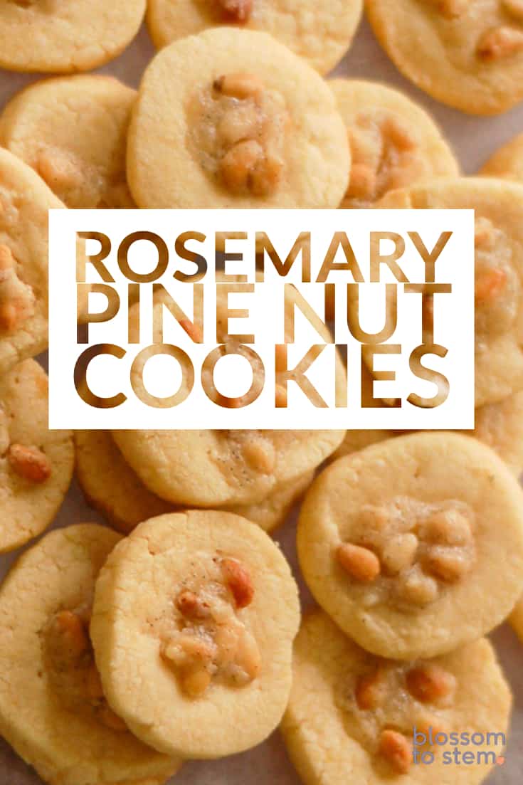 Rosemary Pine Nut Cookies