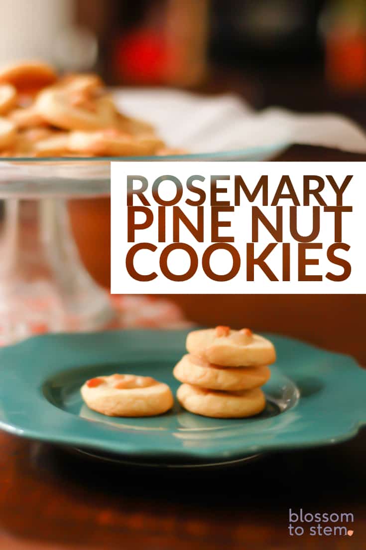 Rosemary Pine Nut Cookies