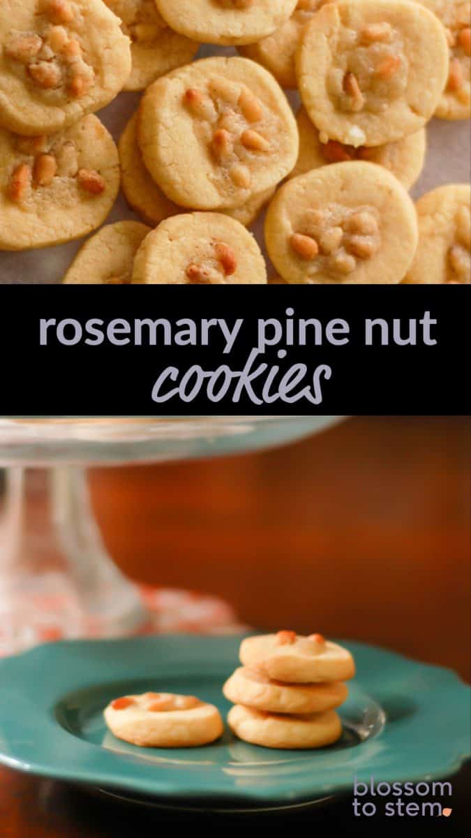 Rosemary Pine Nut Cookies