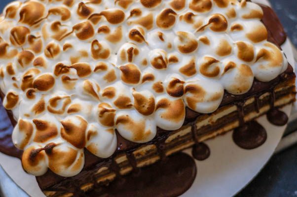 Microwave S'mores Chocolate Cake - Dorm Room Cook