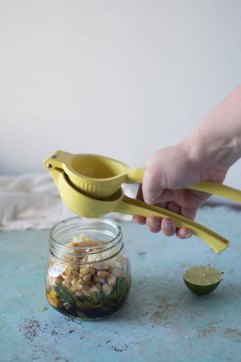 Spicy Garlicky Cashew Chicken From Blossom to Stem | www.blossomtostem.net