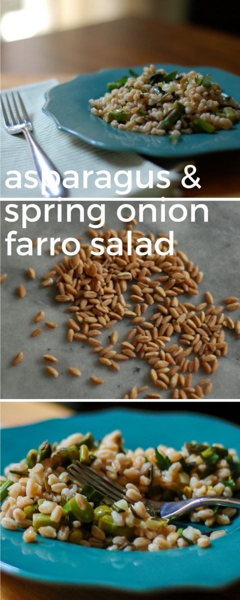 Asparagus and Spring Onion Farro Salad. From Blossom to Stem | www.blossomtostem.net