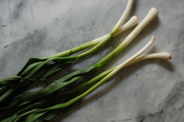 Asparagus and Spring Onion Farro Salad with Quick Preserved Lemon Vinaigrette. From Blossom To Stem | Because Delicious www.blossomtostem.net