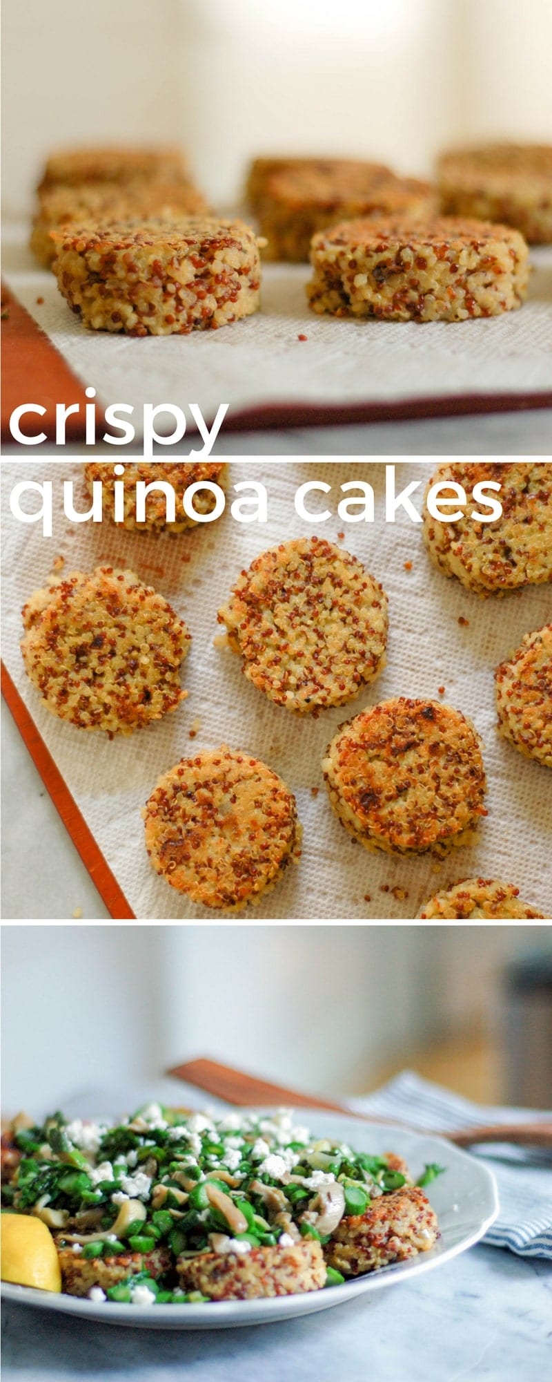 Quinoa Cakes with Asparagus and Mushrooms Blossom to Stem