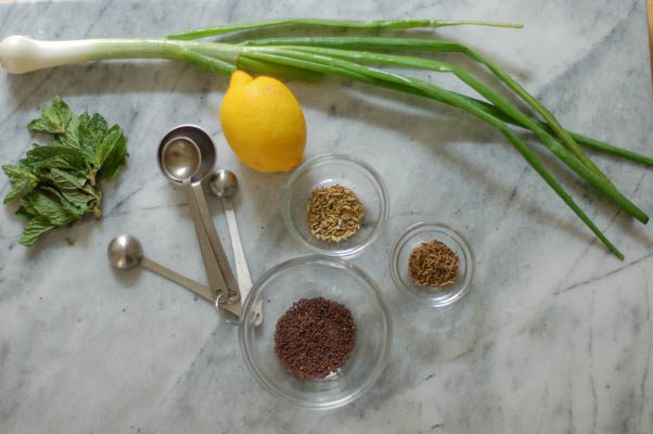 Mint, lemon, green onion, fennel seeds, cumin seeds, brown mustard seeds