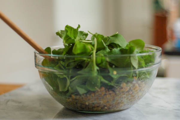 Lentil Arugula Salad with Feta and Red Wine Shallot Vinaigrette. So good. From Blossom To Stem | Because Delicious www.blossomtostem.net