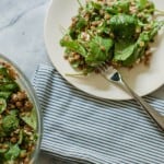 Lentil Arugula Salad with Feta and Red Wine Shallot Vinaigrette. So good. From Blossom To Stem | Because Delicious www.blossomtostem.net