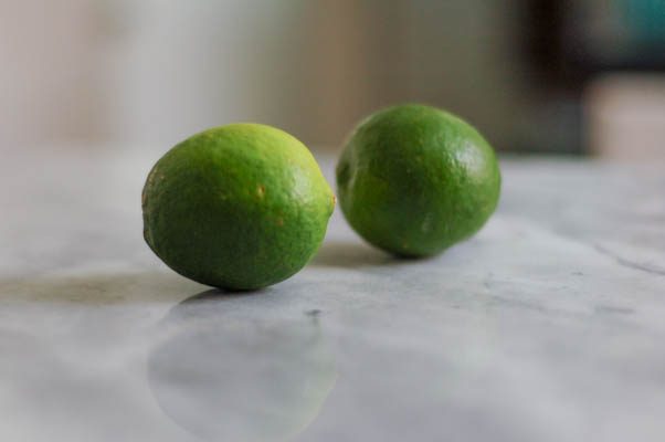 Mango Lime Popsicles! These taste like summer. From Blossom To Stem | Because Delicious www.blossomtostem.net