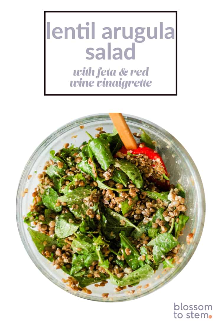 Lentil Arugula Salad with Feta and Red Wine Vinaigrette