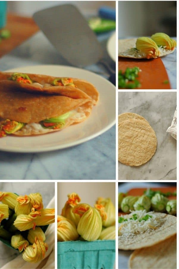 Squash Blossom Quesadillas. Looking for something to do with squash blossoms? No stuffing or frying necessary. From Blossom to Stem | Because Delicious www.blossomtostem.net