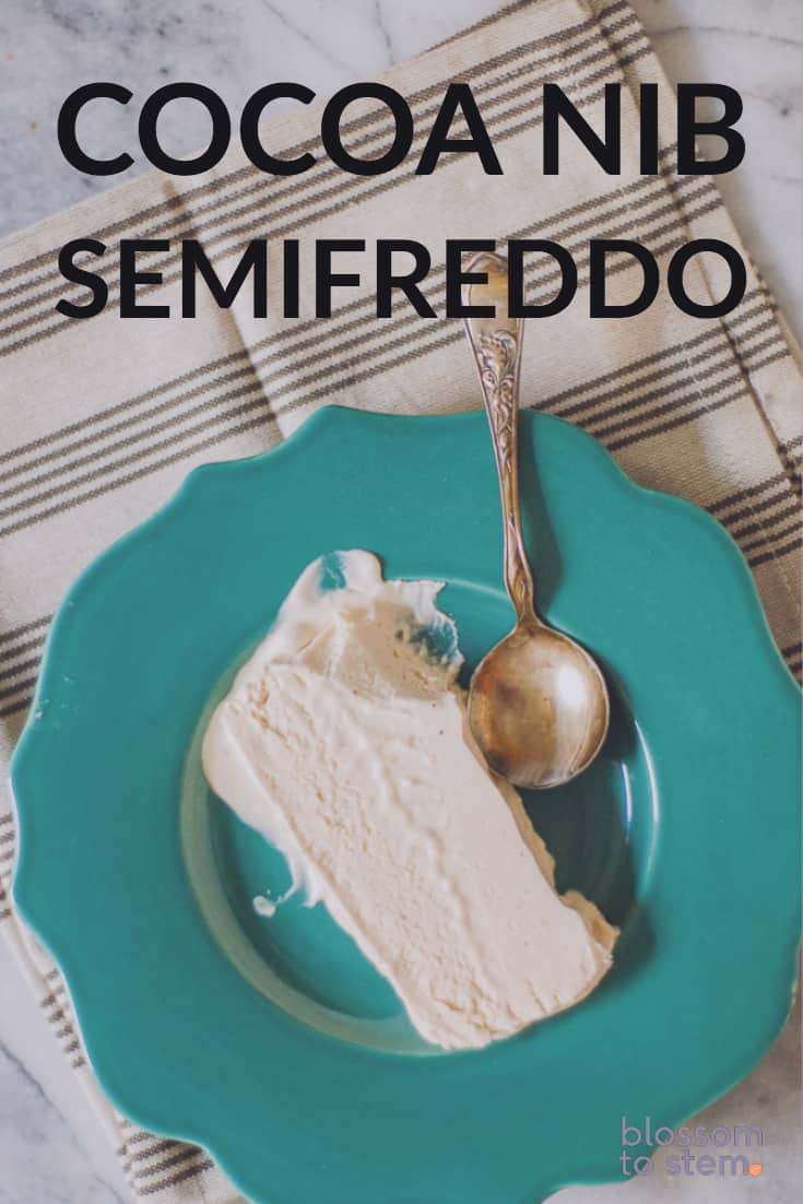 Cocoa Nib Semifreddo