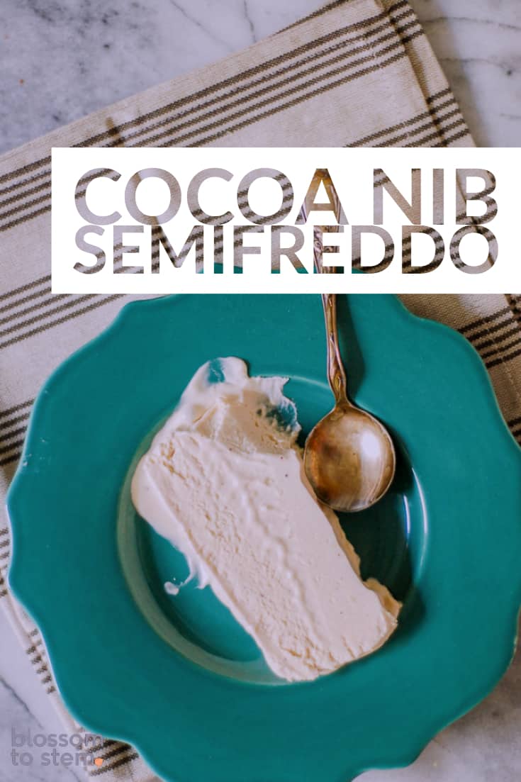 Cocoa Nib Semifreddo