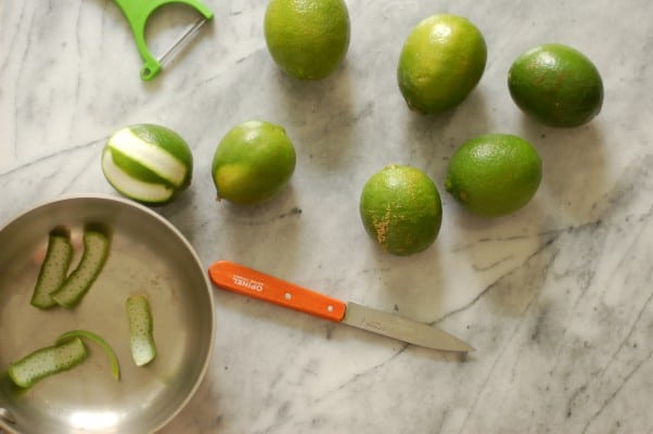 Lime popsicles. Perfect for the hottest summer days. From Blossom to Stem | Because Delicious www.blossomtostem.net