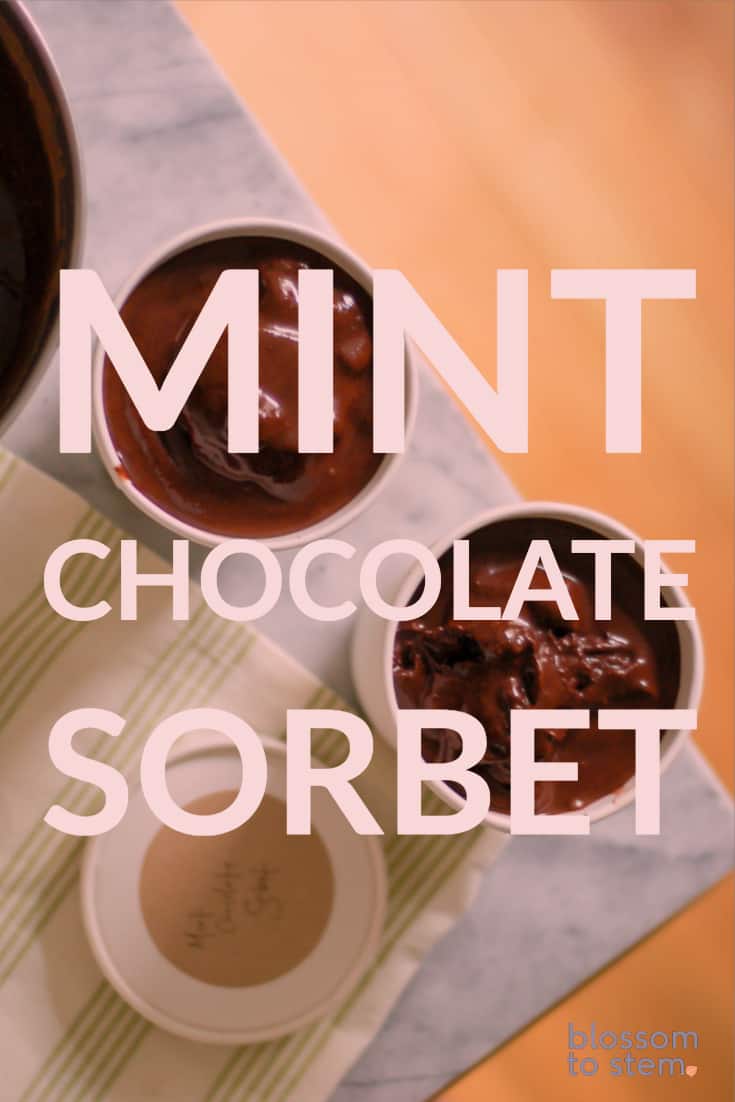 Mint Chocolate Sorbet