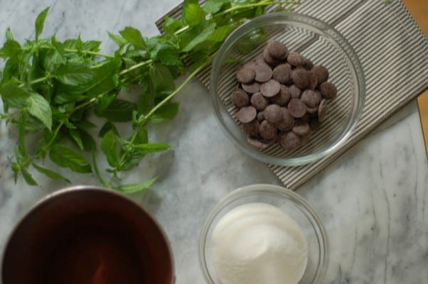 Mint Chocolate Sorbet. An intensely rich and chocolatey sorbet with a refreshing hint of garden mint. From Blossom to Stem | Because Delicious www.blossomtostem.net