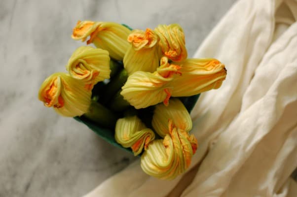 Squash Blossom Quesadillas. Looking for something to do with squash blossoms? No stuffing or frying necessary. From Blossom to Stem | Because Delicious www.blossomtostem.net