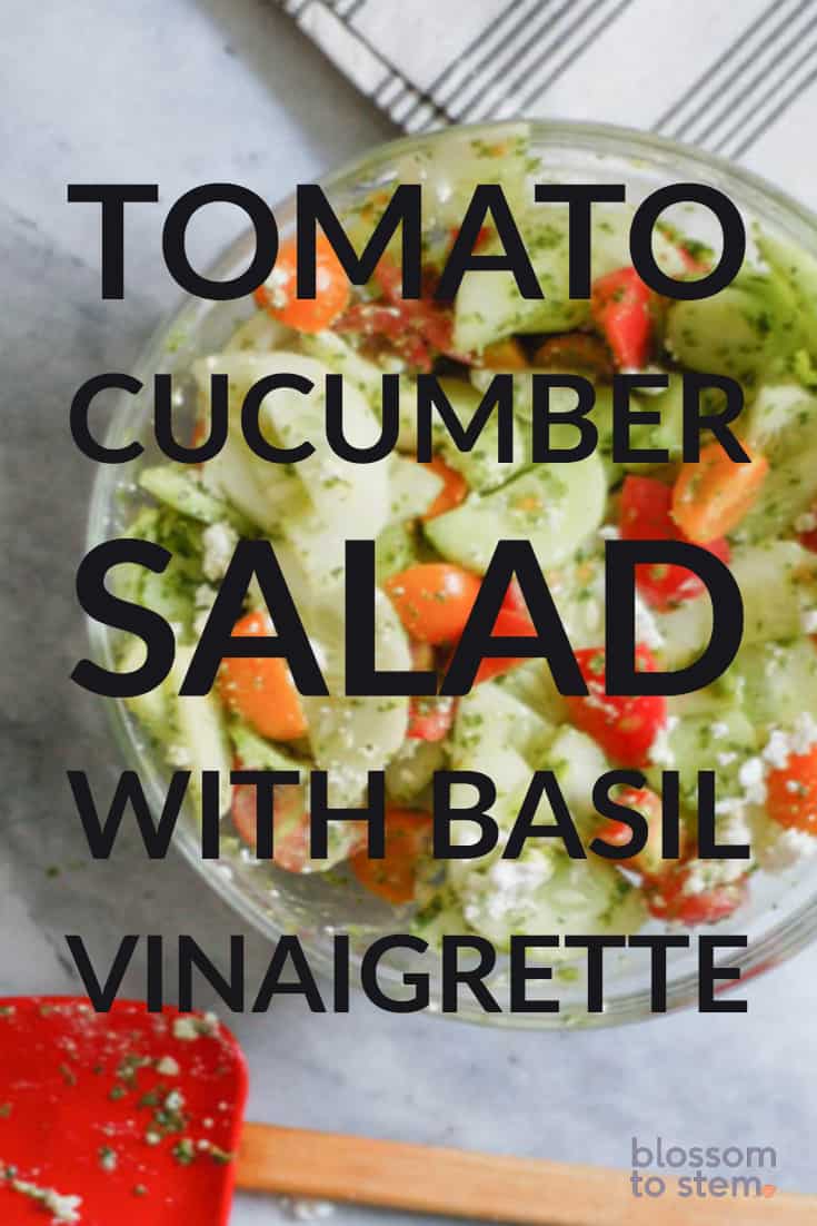 Tomato Cucumber Salad with Basil Vinaigrette