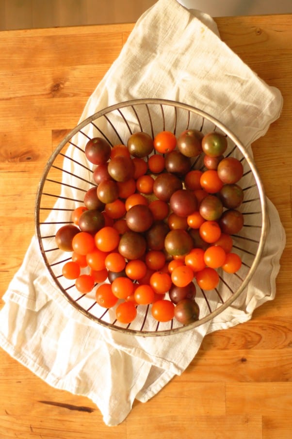 Tomato, Roquefort and Red Onion Salad. A kicky, big-flavored salad to celebrate tomato season. From Blossom to Stem | Because Delicious https://www.blossomtostem.net