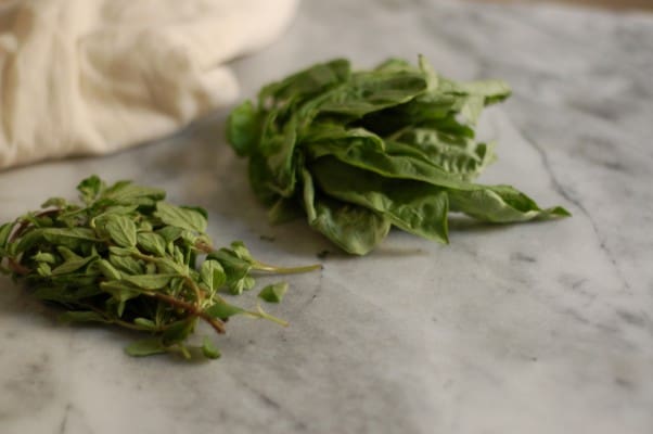 Tomato, Roquefort and Red Onion Salad. A kicky, big-flavored salad to celebrate tomato season. From Blossom to Stem | Because Delicious https://www.blossomtostem.net