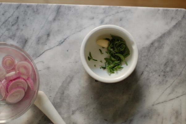 Tomato, Roquefort and Red Onion Salad. A kicky, big-flavored salad to celebrate tomato season. From Blossom to Stem | Because Delicious https://www.blossomtostem.net