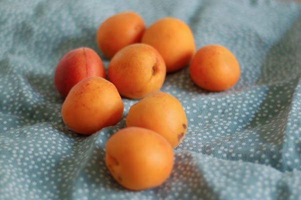 Peach-Apricot Buttermilk Buckle. A homey comforting dessert perfect for low key gatherings. From Blossom to Stem | Because Delicious www.blossomtostem.net