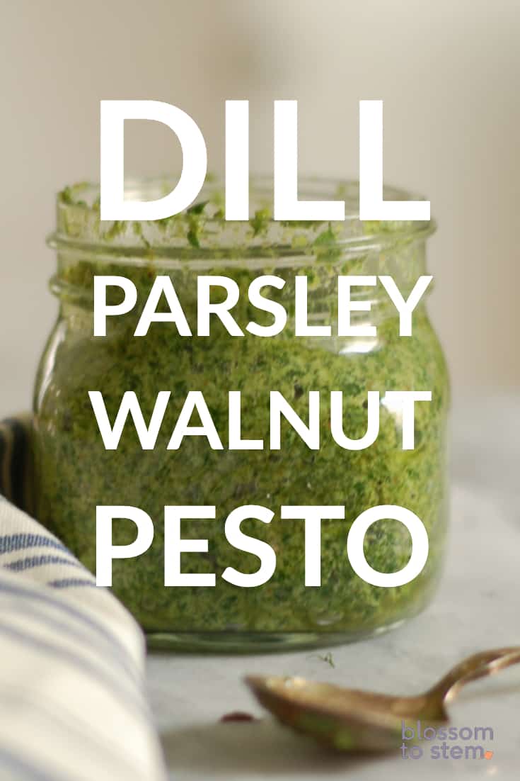 Dill, Parsley, Walnut Pesto