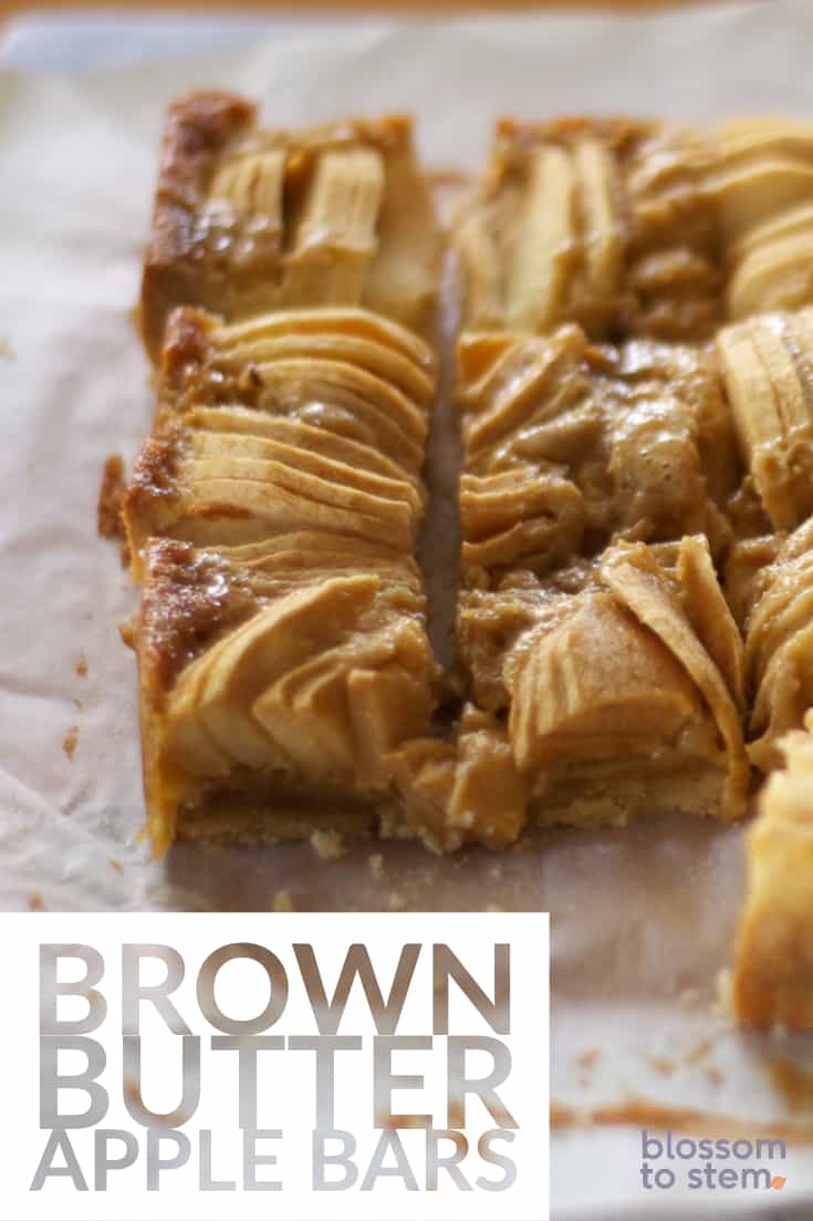 Brown Butter Apple Bars