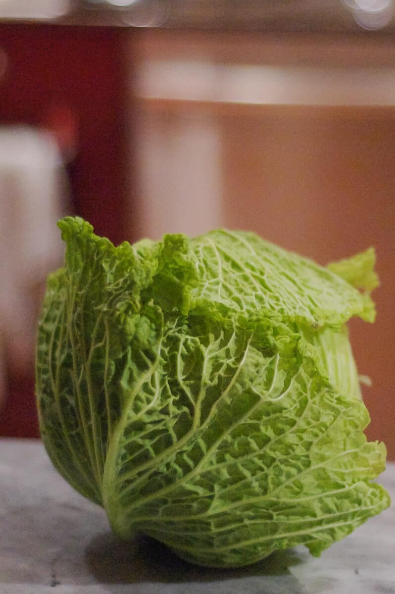 Savoy Cabbage on a counter