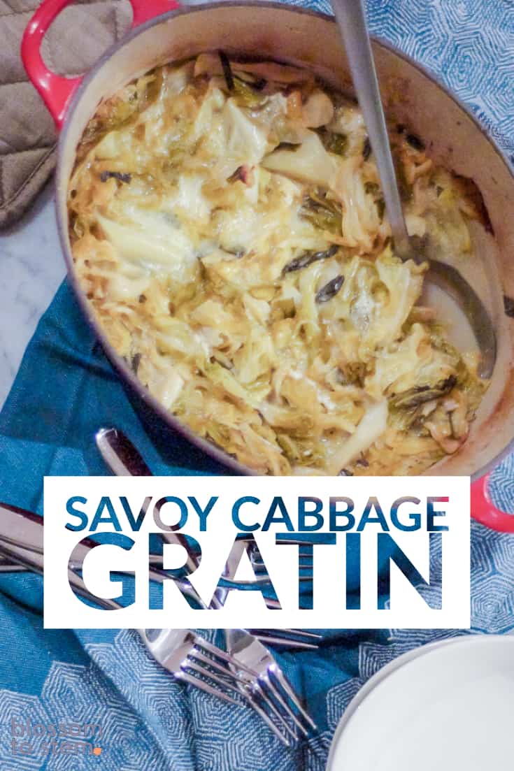 Savoy Cabbage Gratin