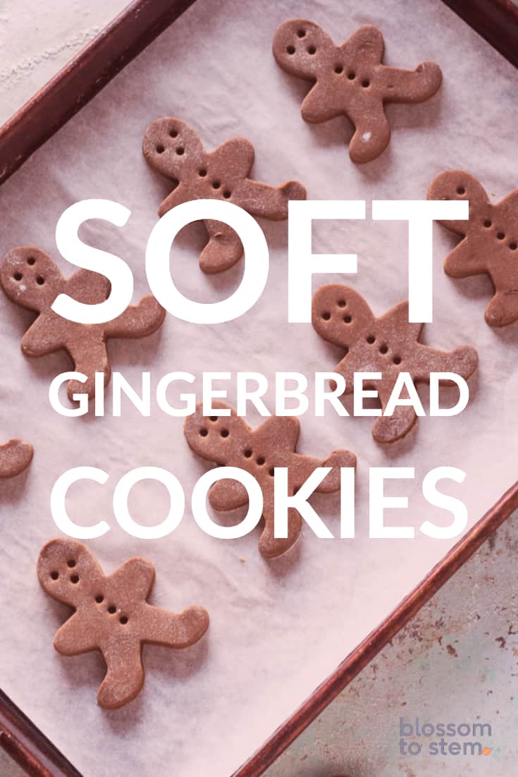 Soft Gingerbread Cookies