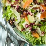 Citrus Avocado Salad with Cara Cara Oranges, Shaved Fennel, Avocado, Escarole, Endive and Radicchio. A refreshing, colorful, and delicious salad. From Blossom to Stem | Because Delicious www.blossomtostem.net #glutenfree #vegan #vegetarian
