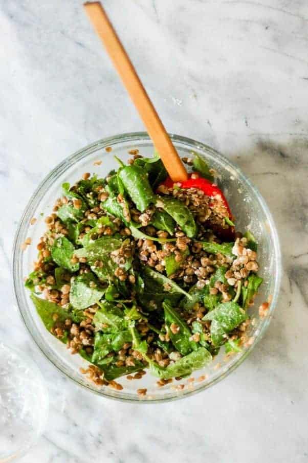 Lentil Arugula Salad with Feta and Red Wine Shallot Vinaigrette. So good. From Blossom To Stem | Because Delicious www.blossomtostem.net