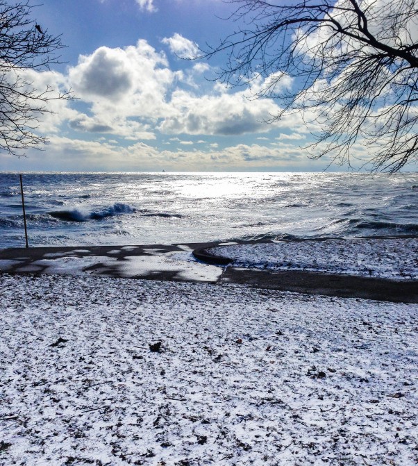 Lake Michigan from Foster Beach in Chicago, March 2015 From Blossom to Stem | Because Delicious www.blossomtostem.net