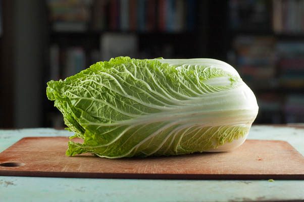 Vietnamese Flank Steak with Citrus Mint Cabbage Salad. From Blossom to Stem | Because Delicious www.blossomtostem.net #glutenfree #dairyfree